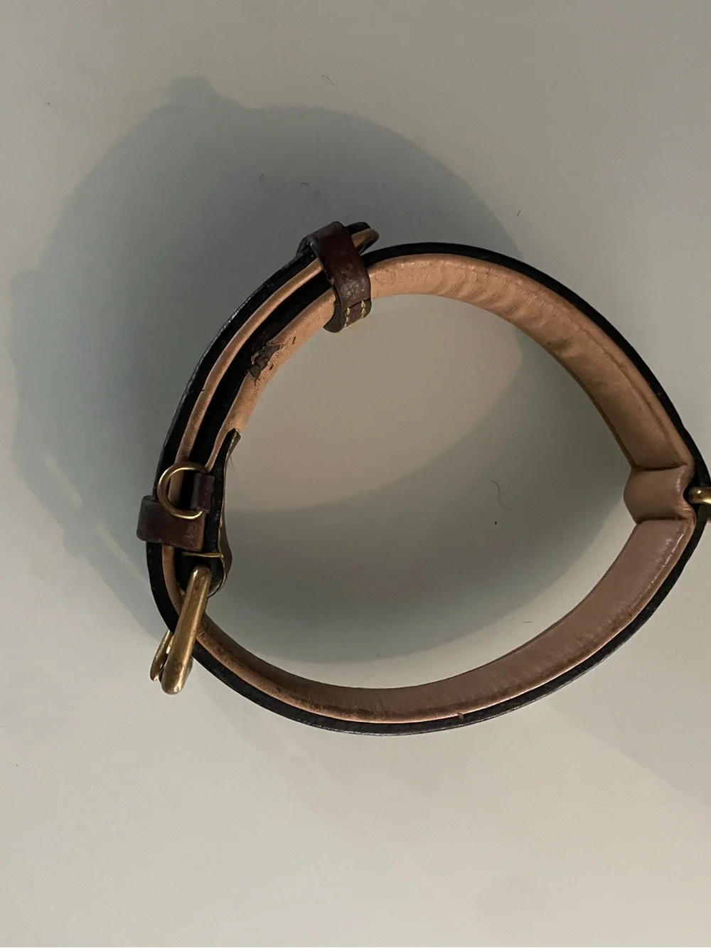 large leather dog collar